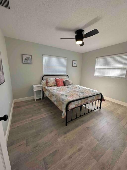 Sea Turtle Cove Clearwater Exterior foto